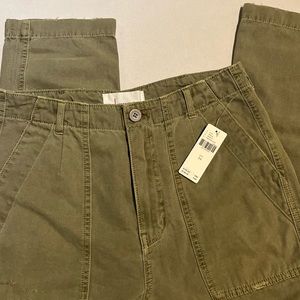 NWT Moss Anthropologie Pants